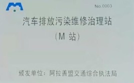 汽车尾气治理M站案例分享（安徽阜阳）(治理汽车尾气尾气诊断案例)