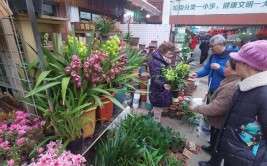 虹桥岚灵花市全面恢复营业花价并未大涨有的还便宜了花店老板生活还得像花儿一样继续美丽