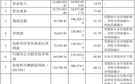 提5千亿宏愿 东岭集团净利现金流齐跌、子公司仍列老赖(亿元集团原告被告房地产)