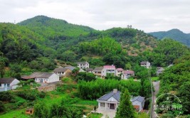 大山有“梦”：一个高山村的寻“富”路(村里景山村民高山山村)