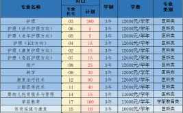 2024郑州黄河护理职业学院学费多少钱一年