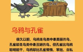 孔雀燕子乌鸦鸟儿哪个不是同类