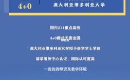 中央财经大学中外合作办学学费多少钱一年