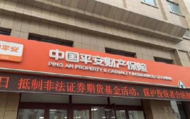 平安产险山西分公司：年检代办省时省心省力(吕梁客户新闻网频道省力)