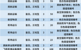 上海民航职业技术学院中外合作办学学费多少钱一年