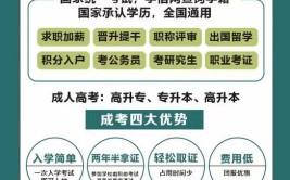 村官可以报考提升学历吗？