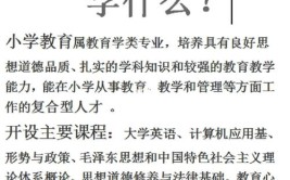 教育学主要学什么？