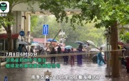 郑州40万辆泡水车去哪儿了？多渠道流向市场(水车车辆维修保险公司车主)