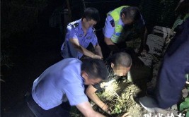 砀山警民联手救助骑摩托车落水男子(落水男子新安派出所拉出)