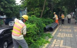 市政道路景观绿化养护公司天津瑞鑫建设