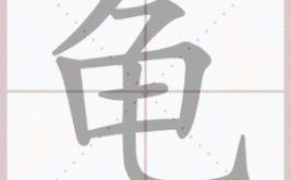 龟查字典查什么部首