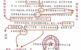 张家界官方公开信刷屏！网友：范文(网友您的请您公开信核酸)