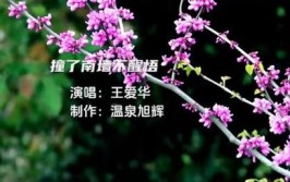 曝光花贩子的骗人手段难怪养不活都被他们忽悠了快点醒悟吧