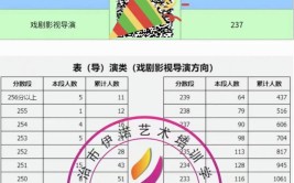 2024年江苏播音主持文化课分数线