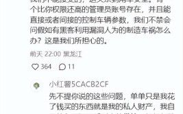 车主称车机和钥匙无法使用(汽车重整破产车主申请)