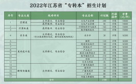 南京传媒学院中外合作办学学费多少钱一年