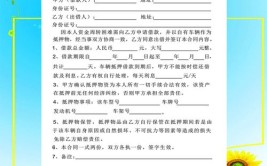 一男子用租来的车抵押借款！上百万钱款被卷走！(钱款借款抵押被骗百人)