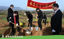 植此青绿南宁最全植树添绿指南来了→