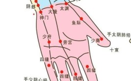 手腕三指处是什么学位