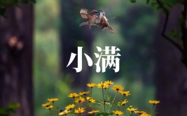 小满是什么季节