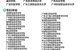 职业高中能考什么大学为什么推荐选择这三类大学