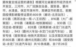 河北廊坊已关闭43条通达北京公交线路 19日起有序恢复域内公交(疫情防控有序巡游日起)