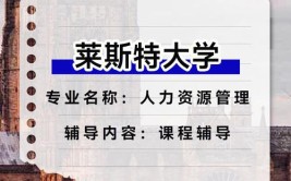 莱斯特大学有些什么专业