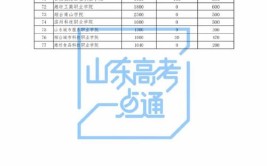 2024年山东高职单招学校名单