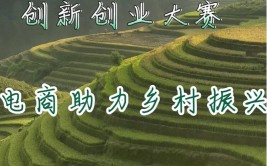 宣传电商知识助乡村(奇石商户发展疫情临朐)