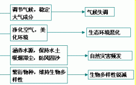 为什么热带雨林是最稳定的生态系统