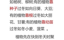 盆栽花和地栽花过冬方法完全不一样花卉防寒越冬的小妙招