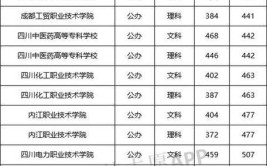 2024四川省最好的专科学校