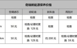 一年保养成本不超500元你信吗？体验奇瑞新能源售后保养服务(保养奇瑞新能源成本车辆)