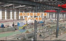 【四川莱奥天窗】消防电动排烟天窗厂家(天窗排烟厂家通风采光)