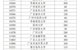 2024高考专项计划的学校有哪些