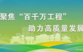 工业强镇按下快进键丨奋战“百千万 ”·阳东镇域行④(阳东百千工程助力奋战)