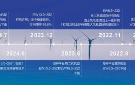 风机每千瓦报价历史性低于2000元？真相是这样……(价格整机风电界面新闻)