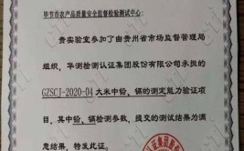 贵州省毕节市市场监管局公示2022年生产领域产品质量抽查检验结果（第二批）(性能钢化玻璃霰弹应力碎片)