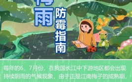 上海人怎么办？(梅雨上海人黄梅雨天气梅雨季)