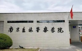 天津财经大学珠江学院有几个校区地址及哪个校区好