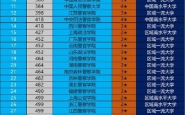 私立华联学院是985还是211