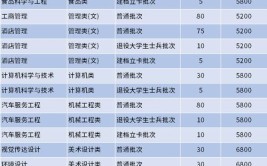 盐城工学院中外合作办学专业有哪些？