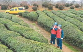 象山县12月12日至13日局地停电信息(停电自然村行政村支线计划)