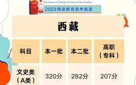 西藏2024年艺术生高考分数怎么算