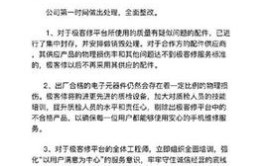 闪修侠、极客修发布公告：将进行自查、整改(自查整改消费者屏幕配件)