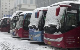 大雪封路 平顶山市区两大汽车站长途客车全部停运(该站长途客车发车汽车站停运)