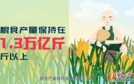 百思不得其解 耕地面积不断减少粮食产量又在丰收。