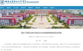 烟台工程职业技术学院是公办还是民办大学？