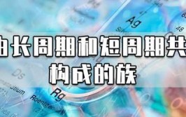 由短周期和长周期共同构成的族