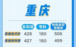 2024重庆物理325分能上什么大学？